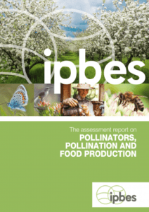 Rapport d'évaluation sur les pollinisateurs, la pollinisation et la production alimentaire (2016)