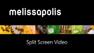 Split sreen video Melissapolis