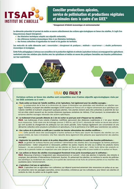 Concilier productions agricoles et pollinisation