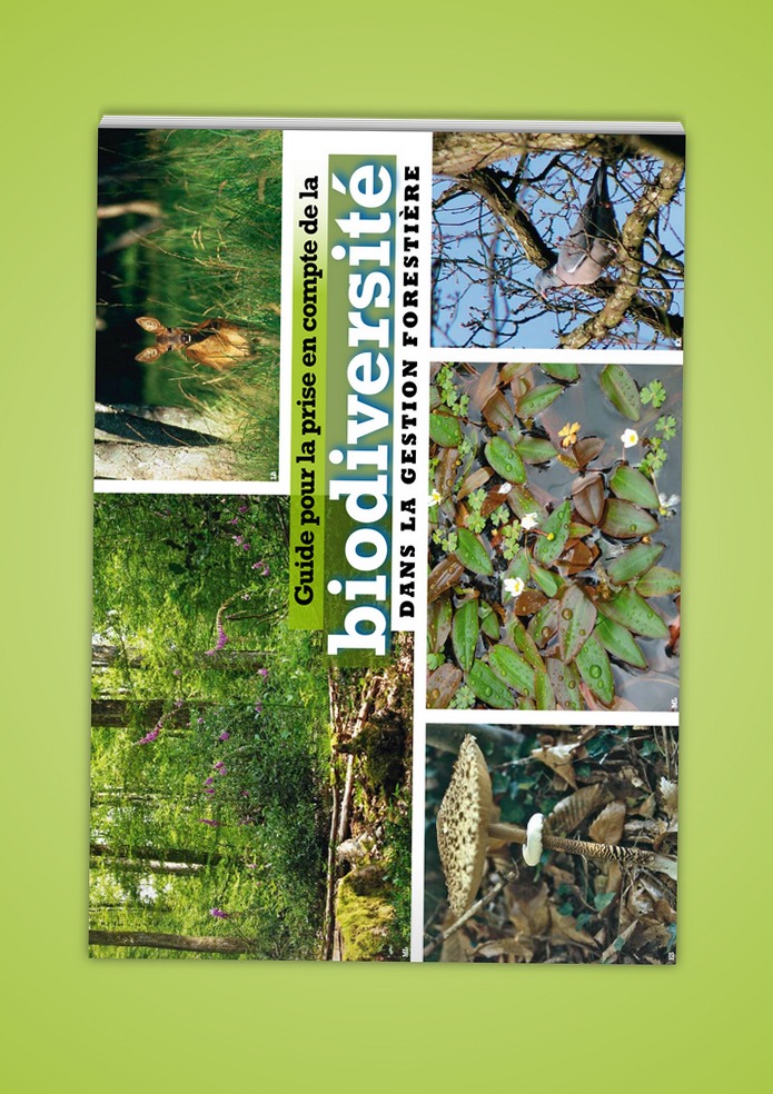 Guide biodiversité dans la gestion forestière