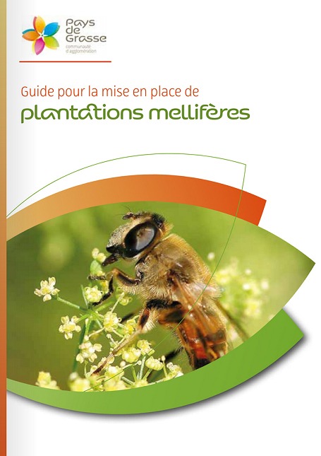 Guide de mise en place de plantes mellifères