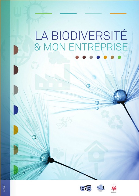 La biodiversité et mon entreprise