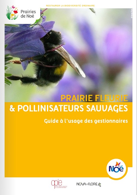 NOE Guide des pairies fleuries