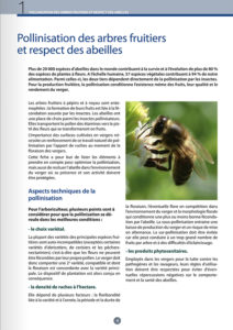 Pollinisation des arbres fruitiers et respect des abeilles