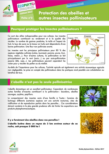 Protection des abeilles et des pollinisateurs