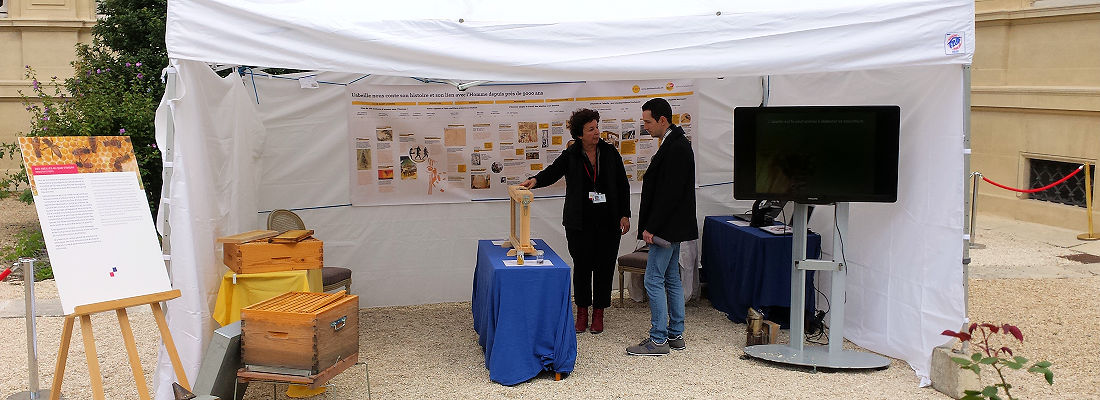 Animation abeilles